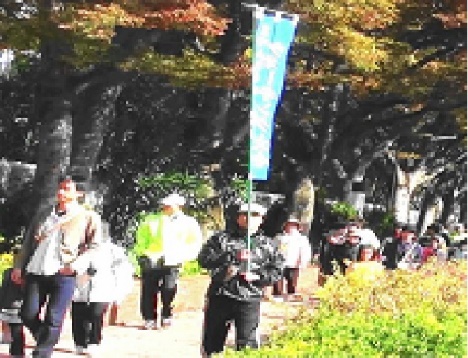 image10.jpeg