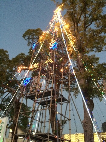 image2.jpeg