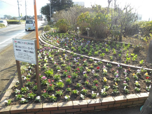 image5.jpeg